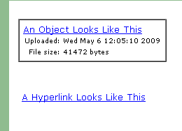 Object vs. Hyperlink